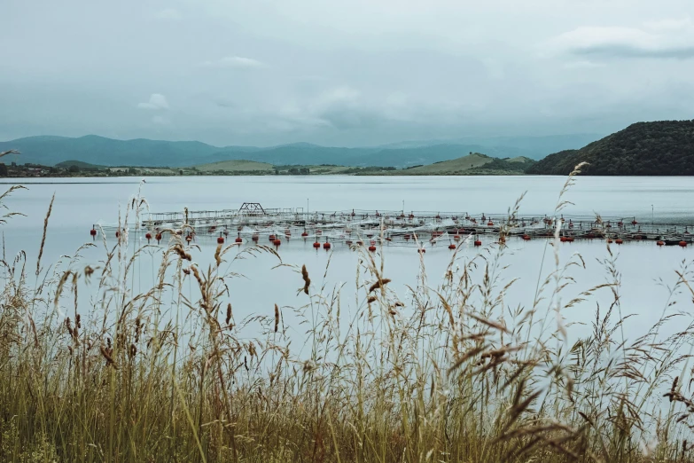 the water is calm and is mostly empty