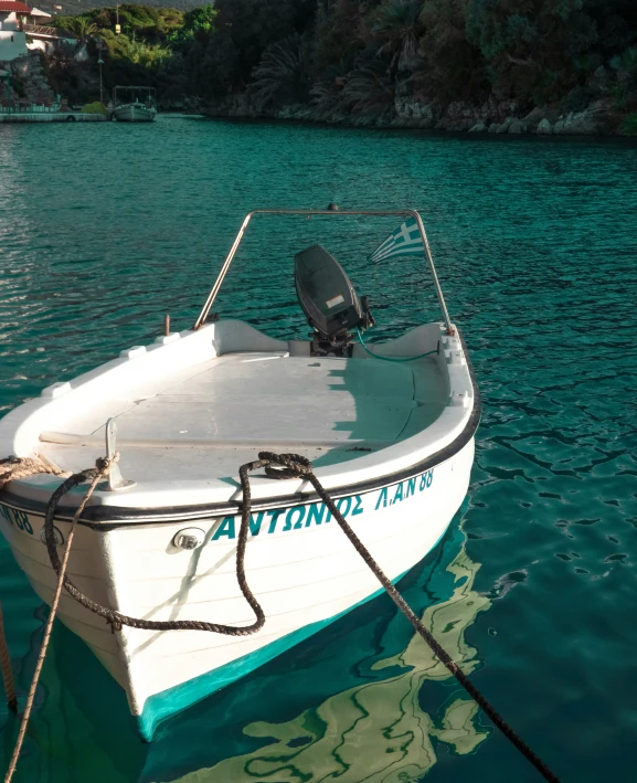 white boat with blue paint parked in shallow water