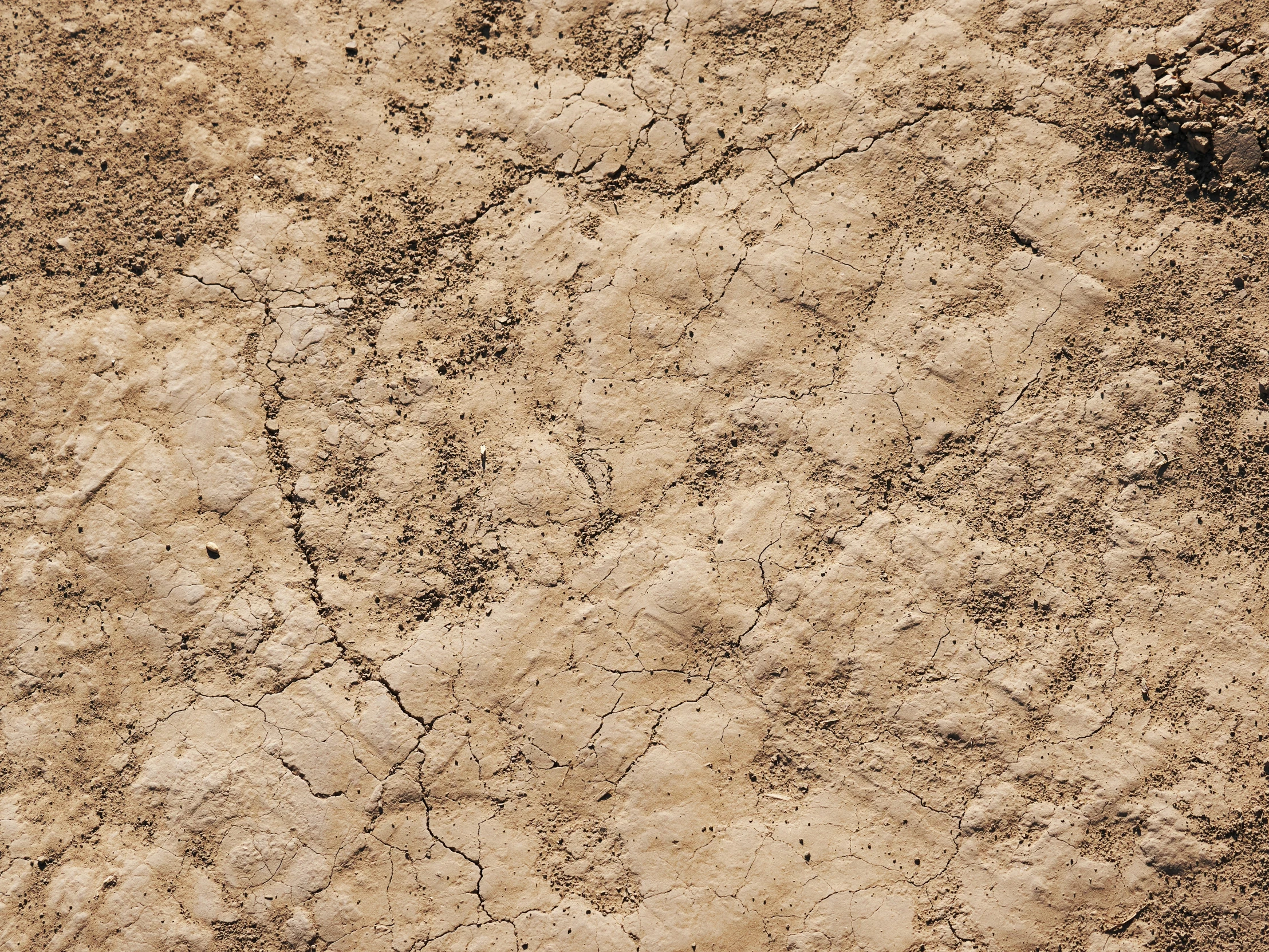 a sandy surface with small rocks and dirt