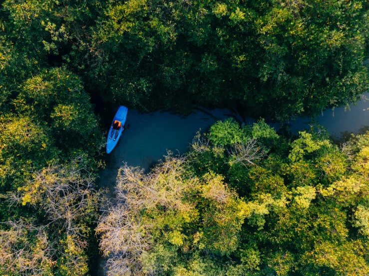 boat sitting on river next to forested area