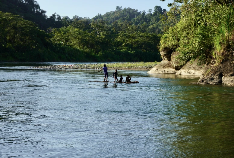 people stand on canoes in a river with a forested area in the background