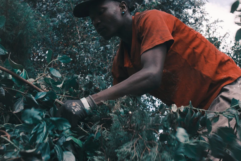 a man standing next to a tree holding soing