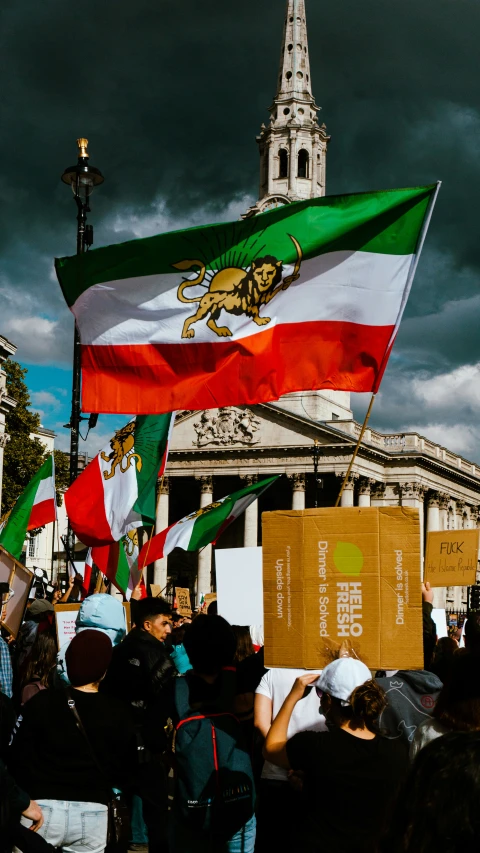 there are many people holding flags on the street