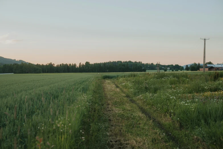 an image of a train going through the country side