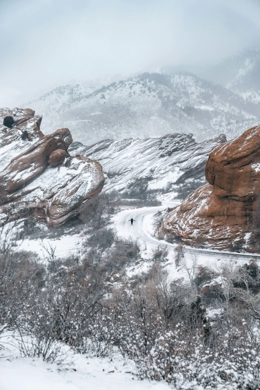 a snowy mountain with trees, bushes and bushes