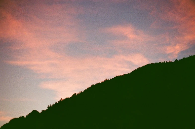 a large tree sitting on the side of a hill