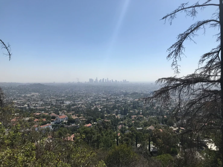 view of the city and suburbs taken from a hill