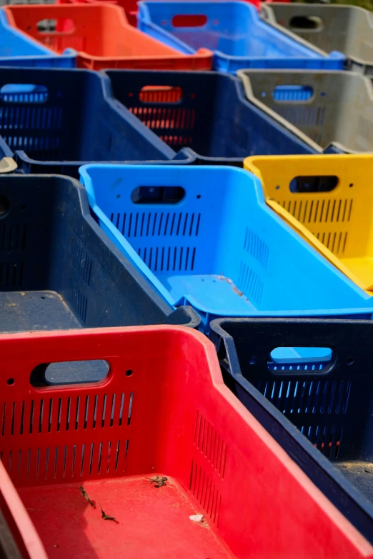 plastic boxes with colored lids sitting side by side