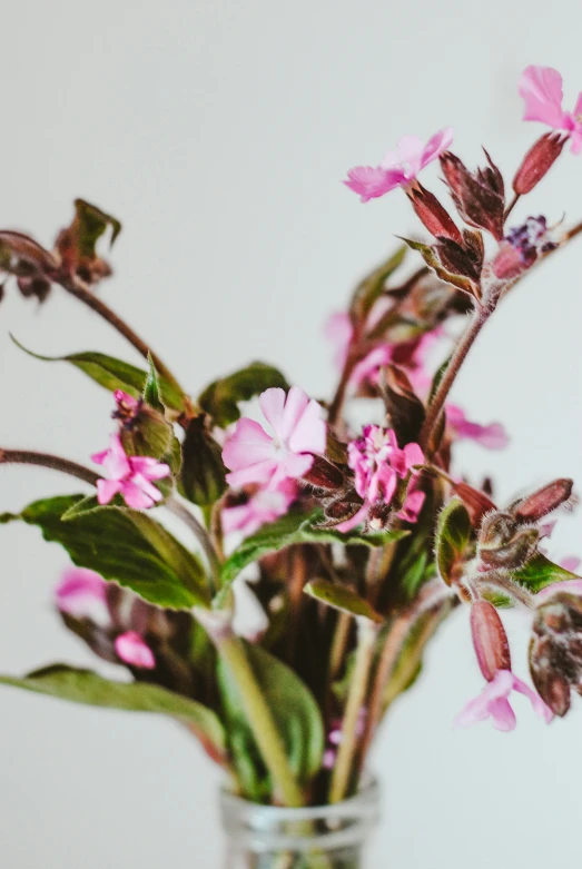 an arrangement of pink flowers in a clear vase