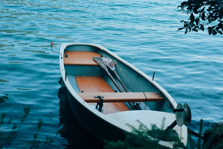 an empty row boat tied to a shoreline