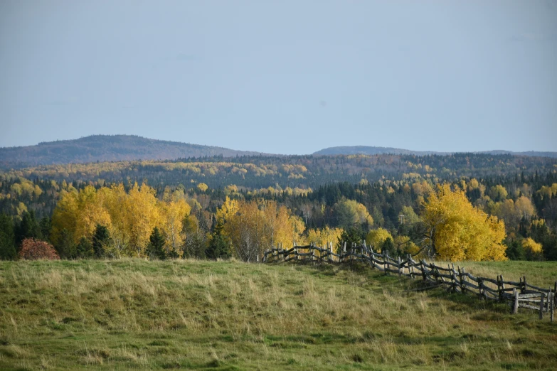 a fence on the side of a hill that has yellow foliage and fall trees in the background