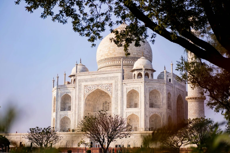 the taj in front of trees has white bricks on it