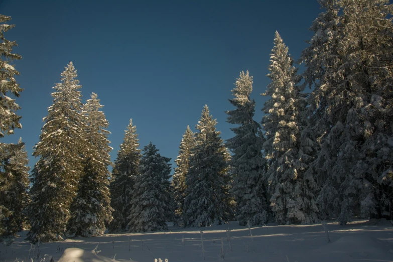 a person riding a snowboard down a snowy slope