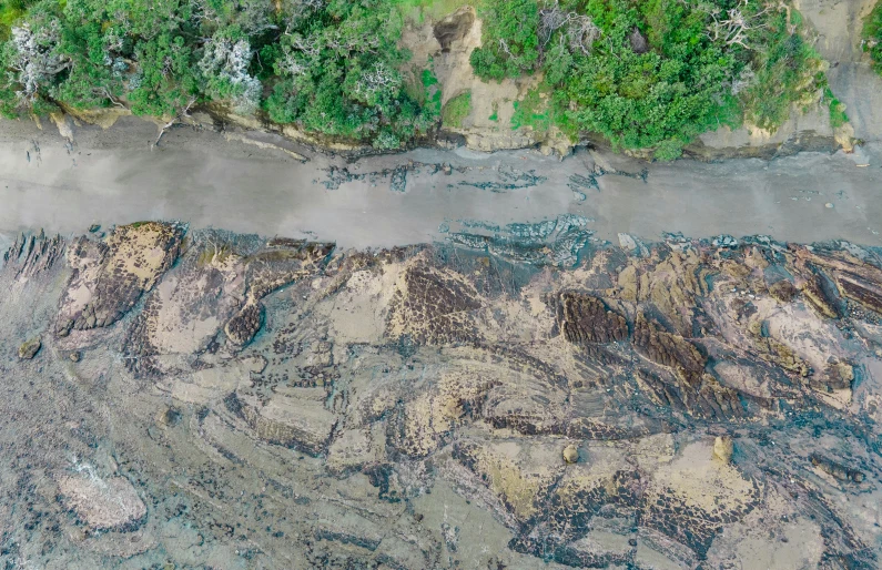 an aerial view of a road near trees