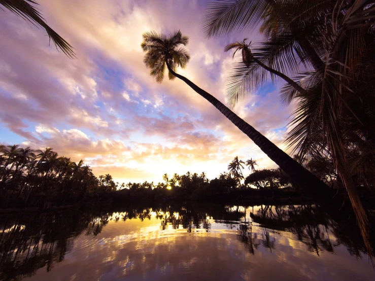 this is sunset at a tropical island