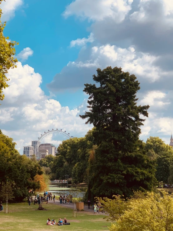 a city skyline as seen from the grass in a park