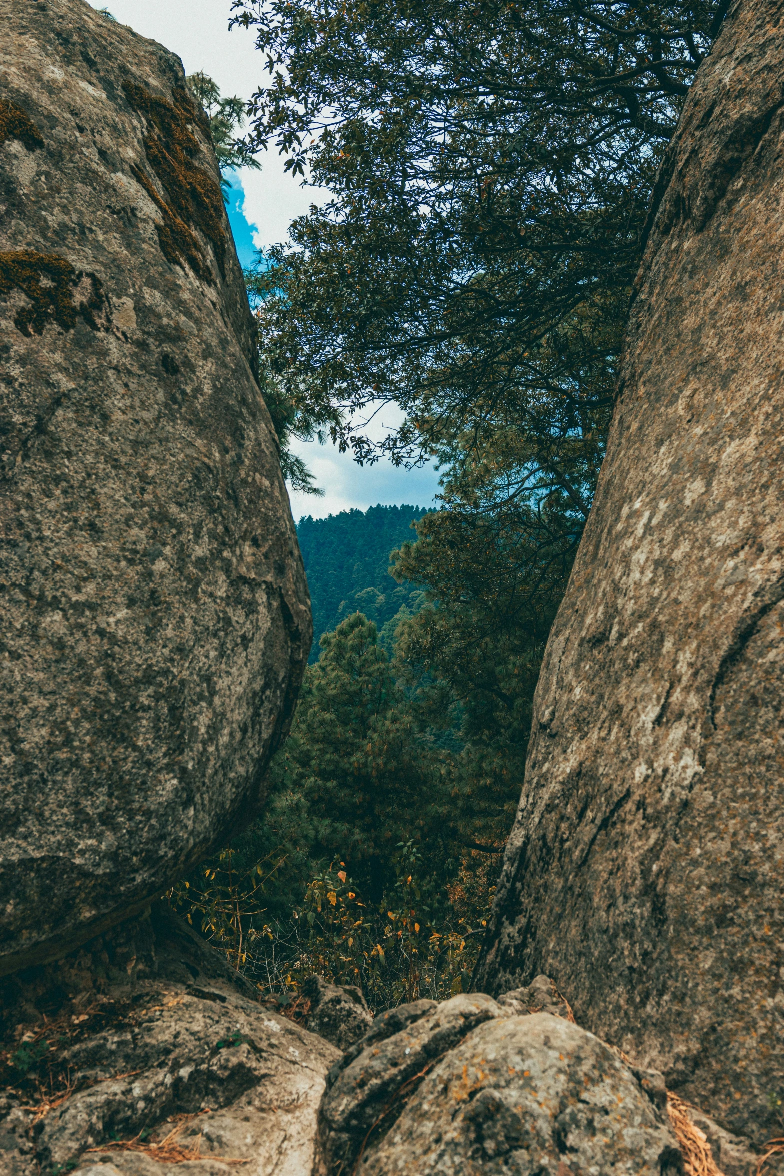 a person standing between two large rocks with some trees in the background