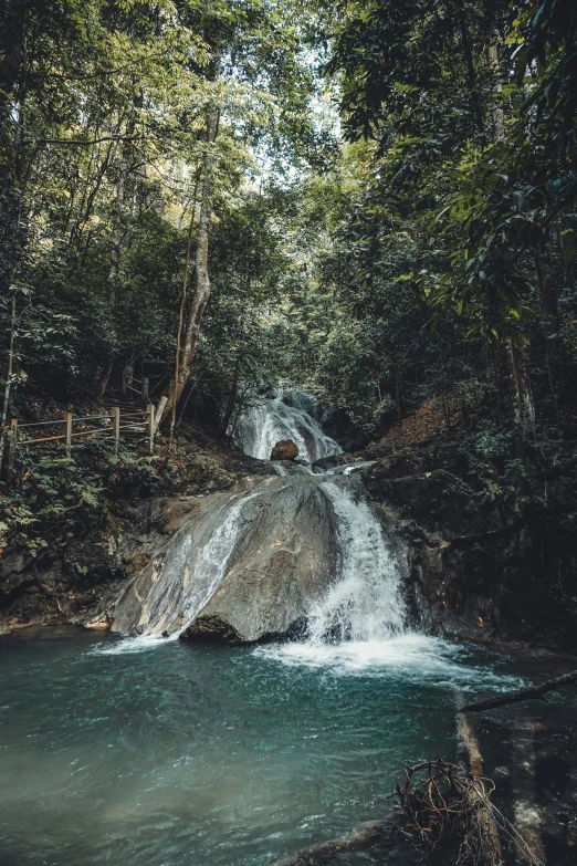 a stream running through a forested forest filled with water