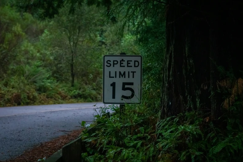 a speed limit sign is next to a wooded street