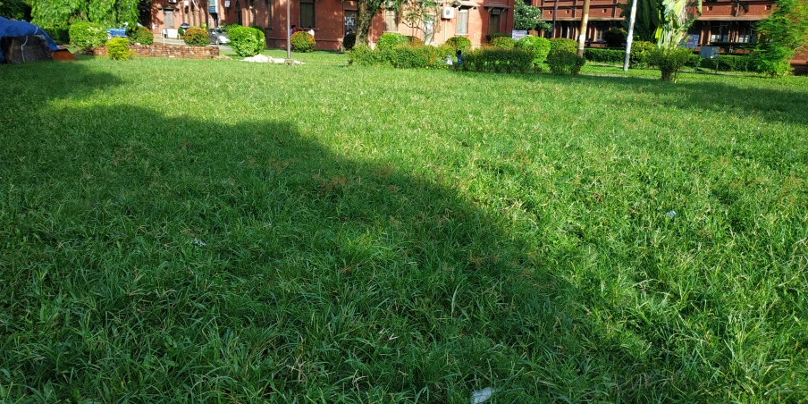 a man laying on top of a lush green field