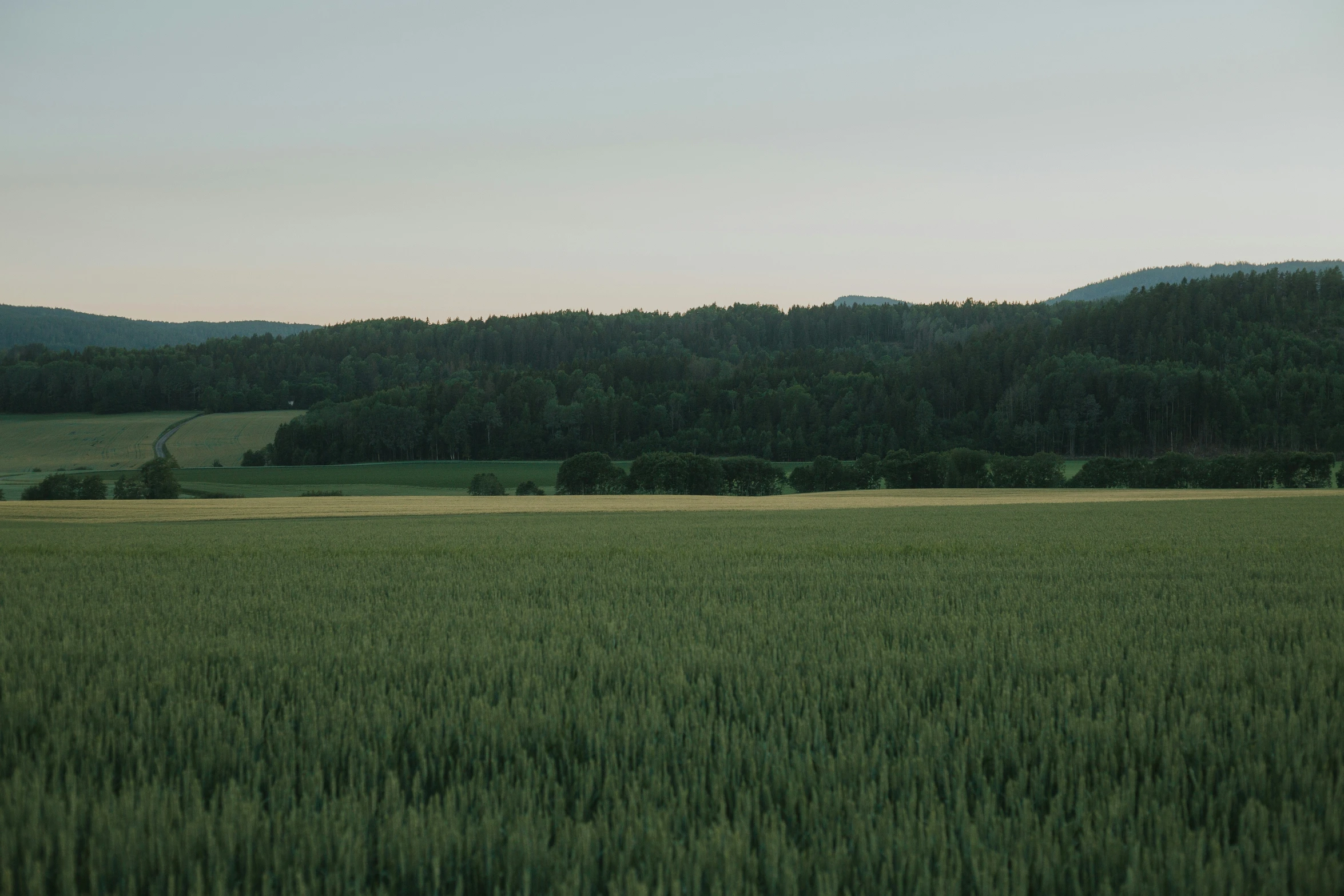 a view from a distance of an open field and mountain