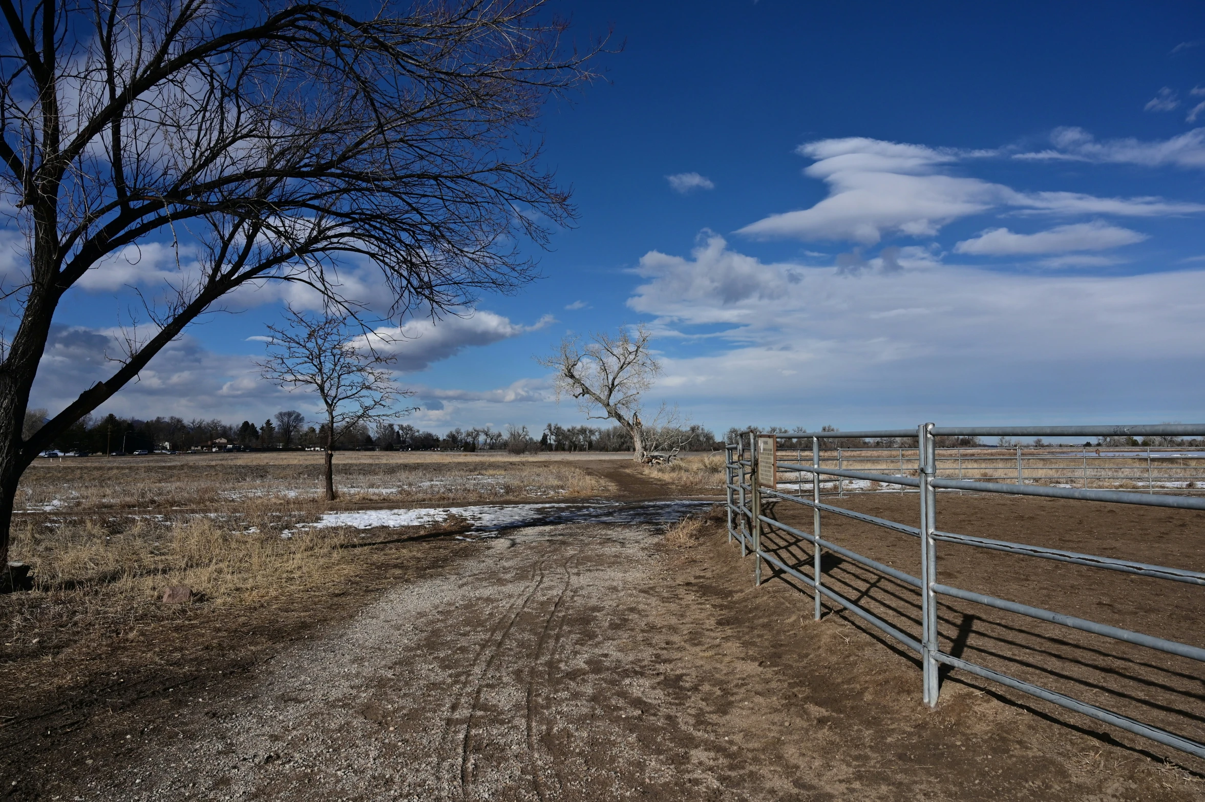 a field with a tree near the gate