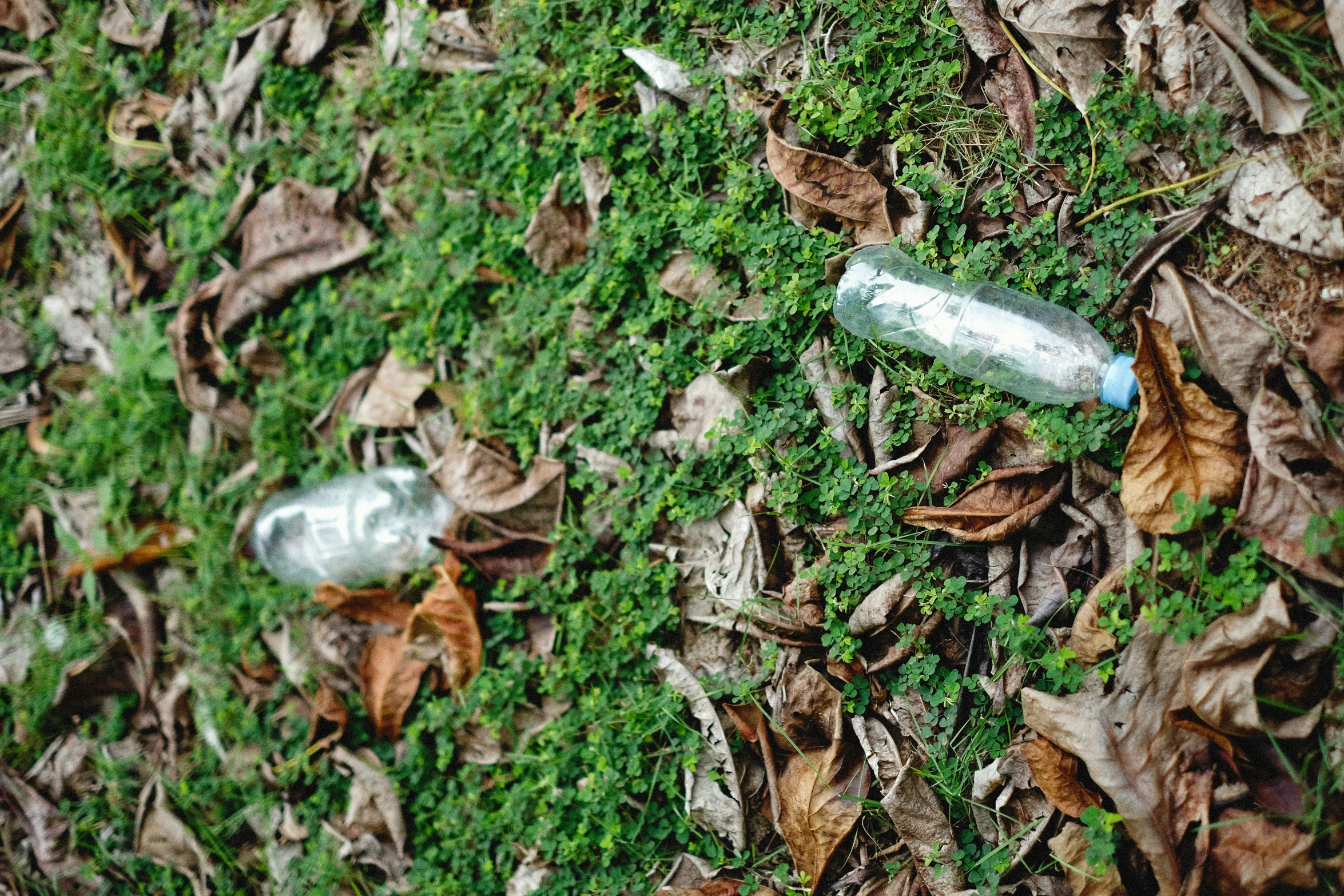 some green grass and white bottles on it