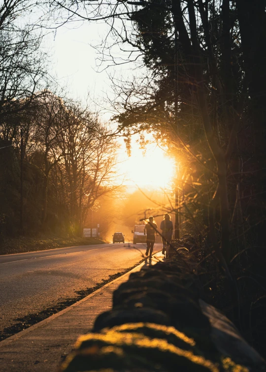 people walking down a street with the sun peeking through trees