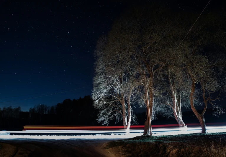 a blurry po of trees in the dark at night