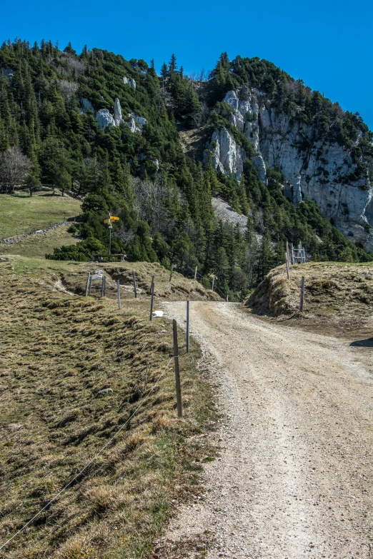 there is a horse that is walking down the road