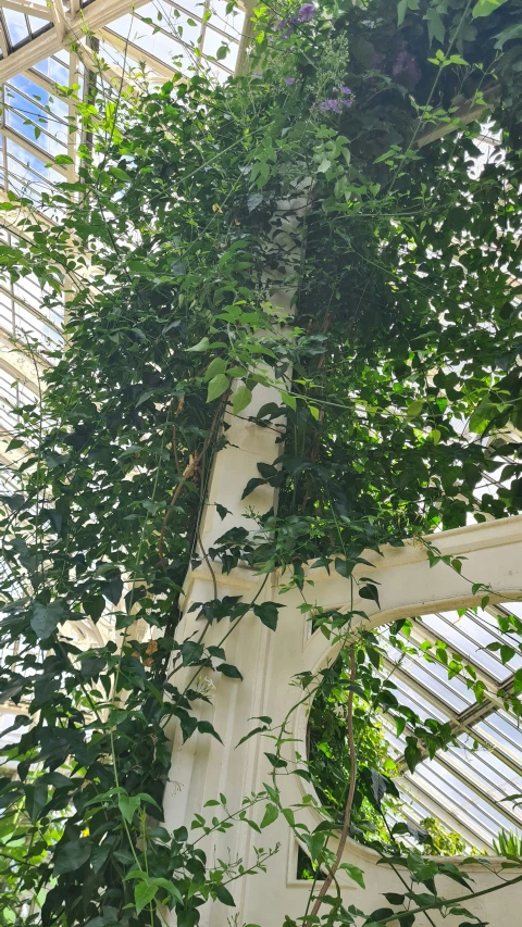 several plants growing up on a long white tube