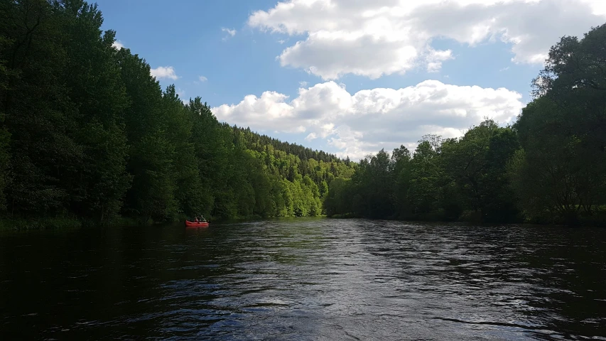 a body of water next to forest and a sky background