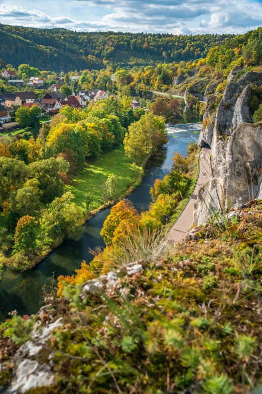 a wide river cuts through the trees and rocks