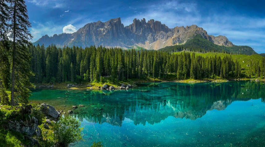 a clear lake surrounded by green trees