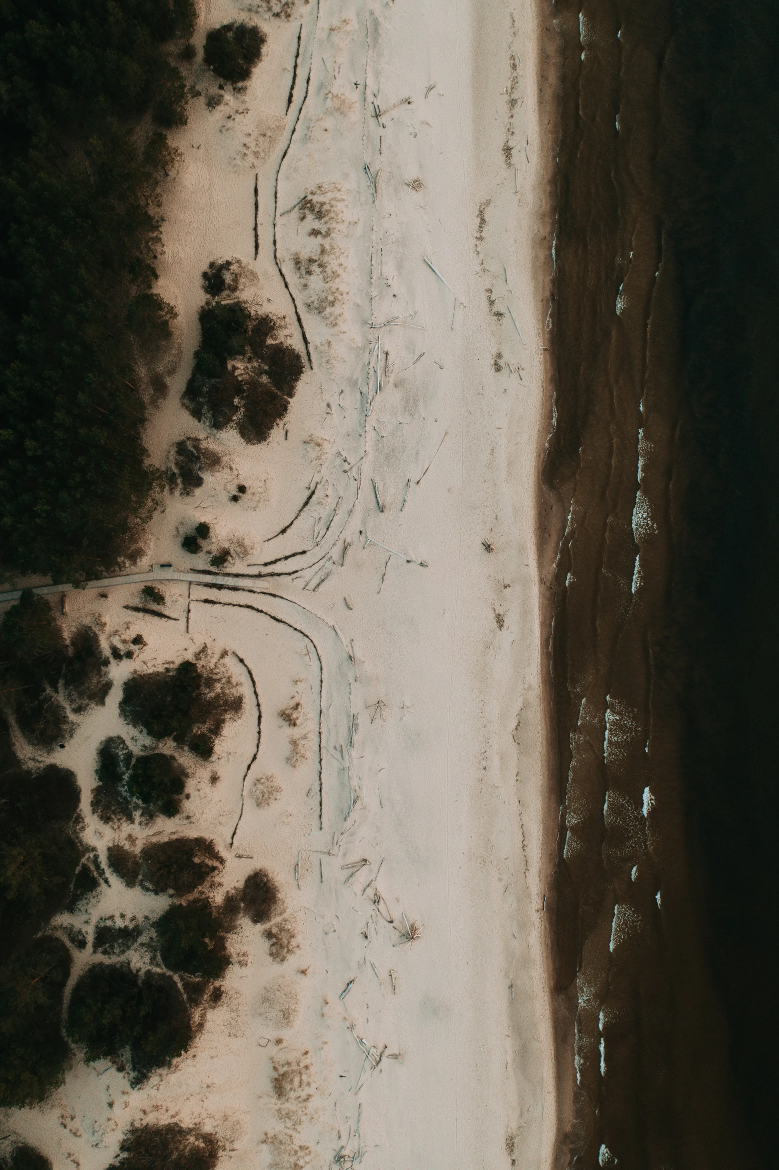 aerial pograph of an beach and trees