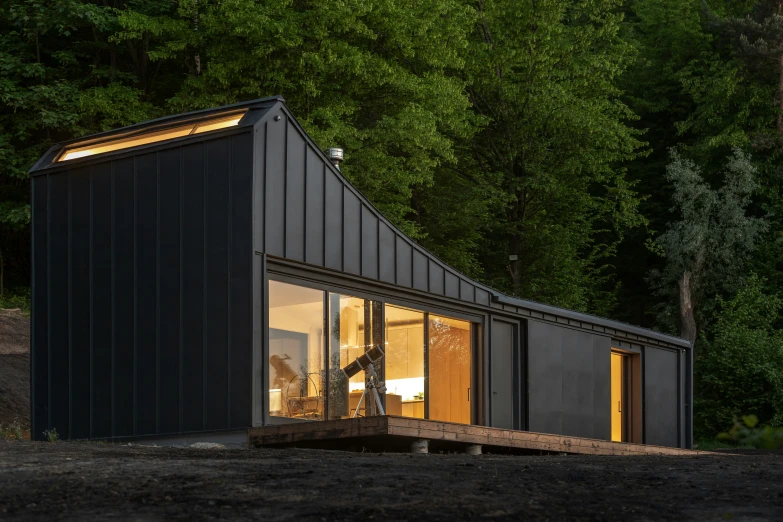 a house made out of black metal and glass