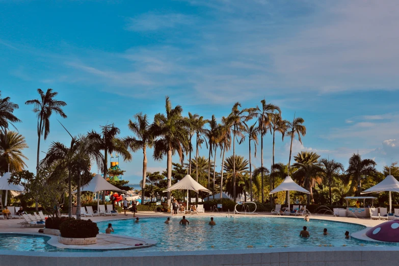 people playing in a swimming pool with palm trees and a blue sky