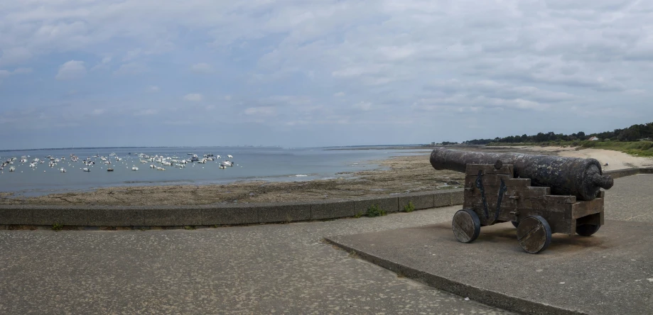 a cannon is standing on the beach with birds in the water