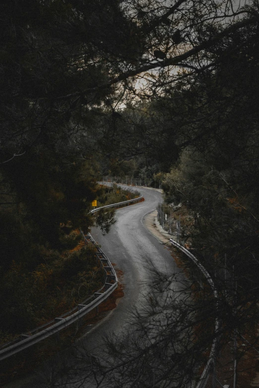 dark pograph of a street on a road in the woods