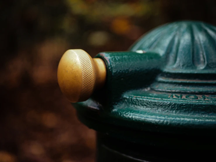 the close up image of a green fire hydrant