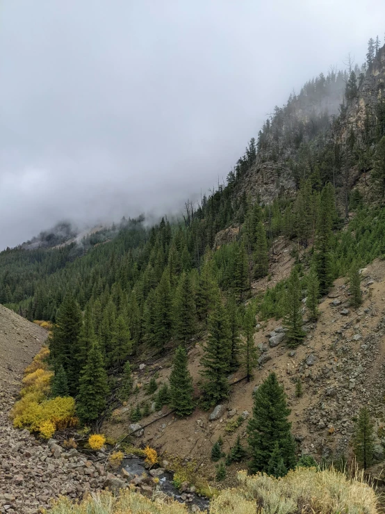 the clouds move over a tree covered hill