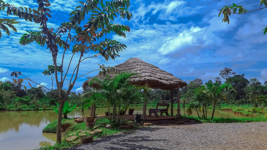 a hut next to a river and a large green plant