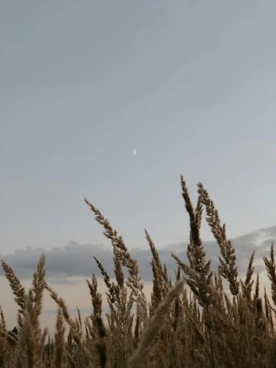 a full view of the sky with many things in it