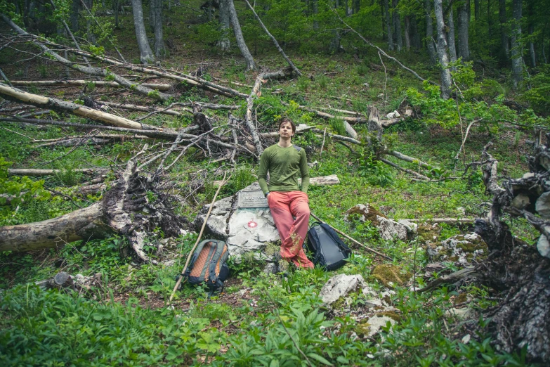 a person sitting on a stone outcropping in a forest