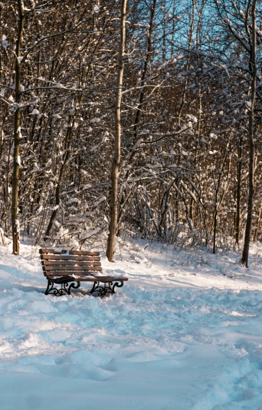 the bench has a snow - covered trail in front of it