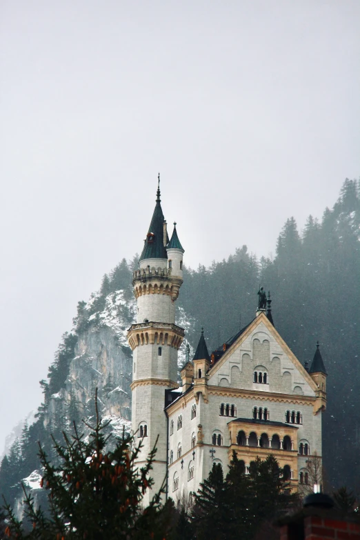 an old castle on a hill overlooking the trees