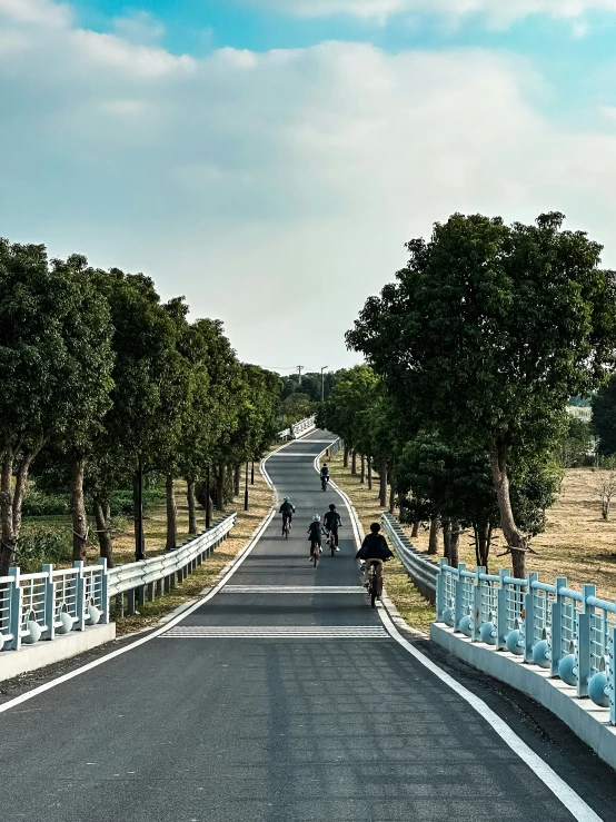 people are walking along a paved road near trees