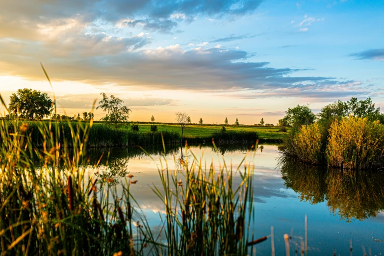 a picture of a body of water at sunset