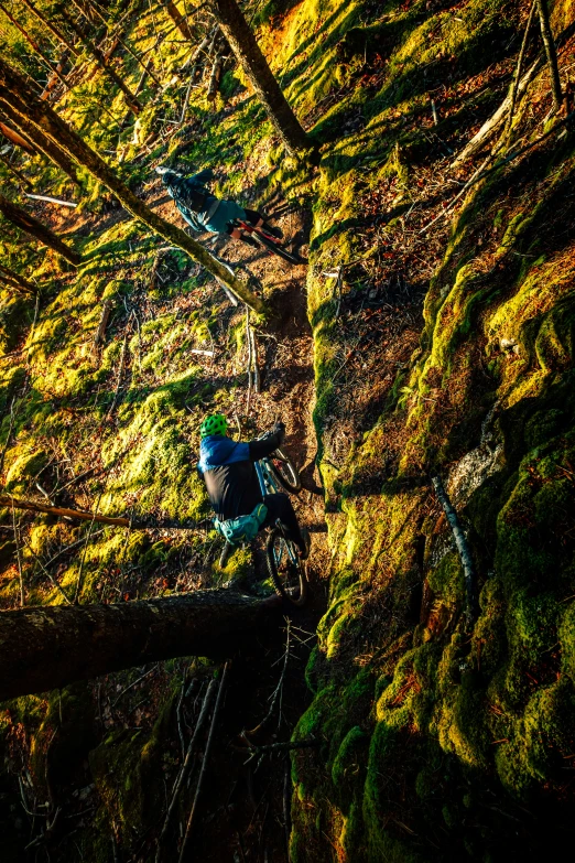 a person walking in the woods with a green backpack