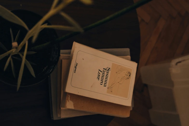 a box of books is next to a potted plant